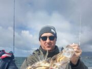 Rare John Dory for Killybegs Fishing Trips