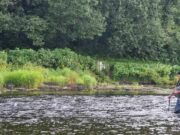 Nore and more fishing well for trout – Piscari-Fly Update