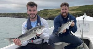 Bass from the small boats in Courtmacsherry bass