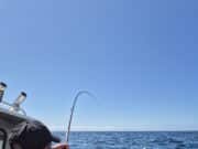 Great boat fishing for Killybegs Mariners