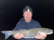 Sea bass, wrasse and sea trout for Killybegs Mariners