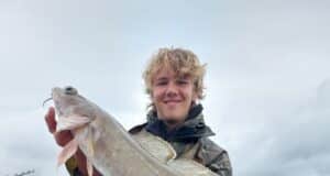 Great fishing for charter boats in Donegal Bay: tuna, shark and plenty species