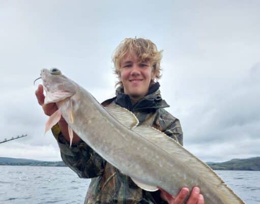 Great fishing for charter boats in Donegal Bay: tuna, shark and plenty species