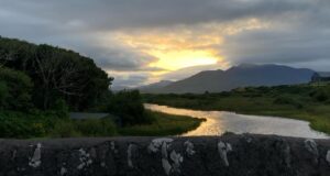 Some salmon and sea trout from Currane, salmon arrive in local rivers Waterville Bridge