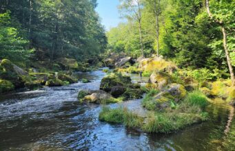 Piscari Fly Newsletter – with reports from the Nore, Liffey & Czechia