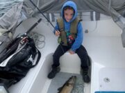 Bass and pollack on fly with Eire Bass pollack