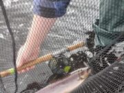 River Easkey fishing quite well during recent floods