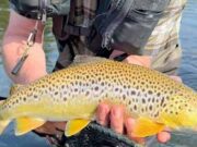 Nore fishing well as Irish team start European champs – Piscari-Fly update