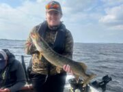 Perseverance pays off once again for Fish Tales
