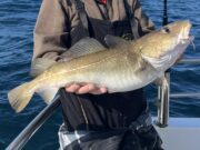 Blue skies and sunshine make for good fishing on the Clare Dragoon