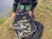 Naas Anglers John Prescott Memorial match report from River Barrow
