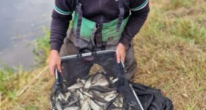 Naas Anglers John Prescott Memorial match report from River Barrow