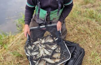 Naas Anglers John Prescott Memorial match report from River Barrow
