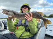 Dutch pike anglers have a good stay at Melview Fishing Lodge.
