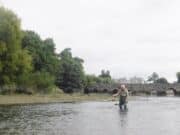 Photo ops but not much fishing as Maigue goes dead low Carl Liljenstolpe fly-fishing the River Maigue at Adare