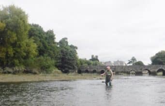 Photo ops but not much fishing as Maigue goes dead low Carl Liljenstolpe fly-fishing the River Maigue at Adare