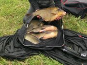 Athlone River-Fest 2 day Coarse match held on Big Meadow