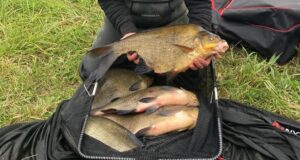 Athlone River-Fest 2 day Coarse match held on Big Meadow