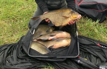 Athlone River-Fest 2 day Coarse match held on Big Meadow