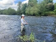 Dan is back with The River Whispers blog