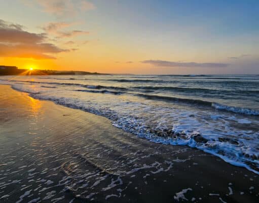 Irish Angling Update 6 September 2024