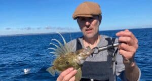 John Dory