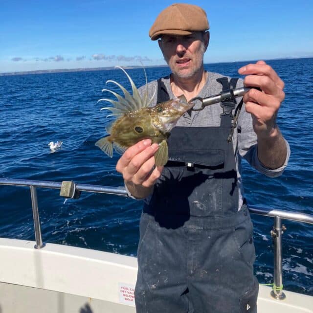 John Dory