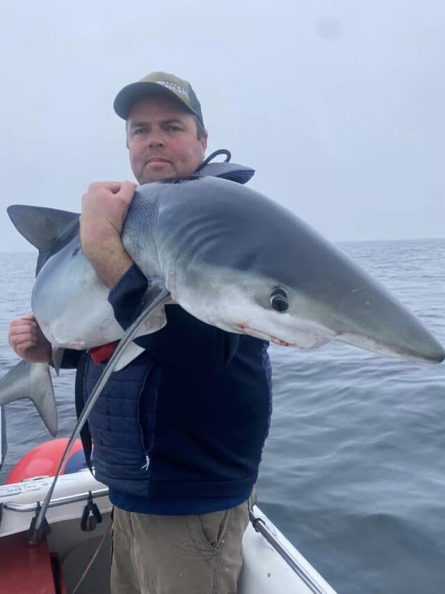 Paul with his first blue! Some great fights and blistering takes. Paul with his first blue! Some great fights and blistering takes.