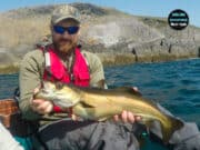 Long awaited fishing trip for kayak anglers in West Cork pollack