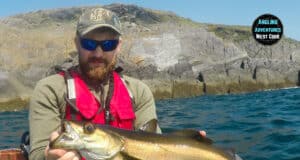 Long awaited fishing trip for kayak anglers in West Cork pollack