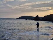 Gold for Ireland – PiscariFly Newsletter 24 September 2024