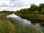 2nd canal qualifier in Leinster