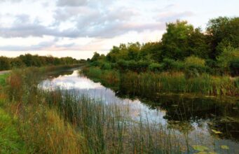 2nd canal qualifier in Leinster