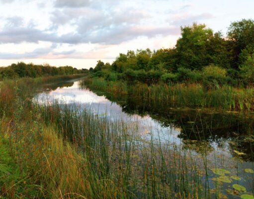 Slow day’s fishing for Leinster Coarse Anglers