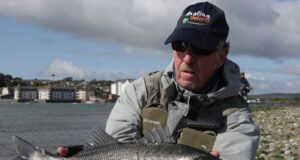Impressive seabass on the fly for Dutch anglers