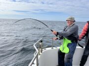 Sixgill Shenanigans on the Clare Dragoon