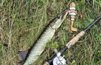 Inny alive with jacks for Midlands Fishing