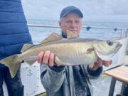 Pollack still feeding well in Clare