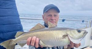 Pollack still feeding well in Clare