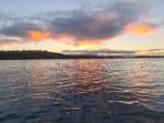 Irish Angling Update π£ 1 November 2024
