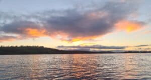 Irish Angling Update 🎣 1 November 2024