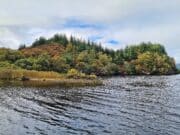 Irish Angling Update π£ 11 October 2024