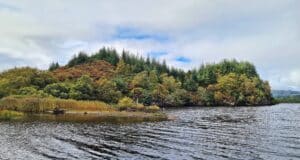 Irish Angling Update 🎣 11 October 2024