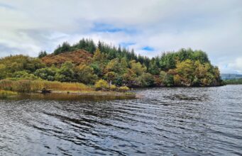 Irish Angling Update 🎣 11 October 2024