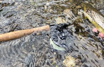 Ireland on the Fly: River Brown Trout Season Review