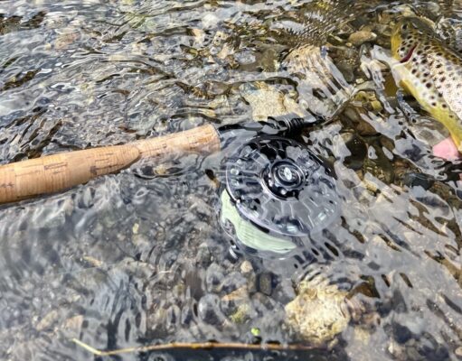 Ireland on the Fly: River Brown Trout Season Review