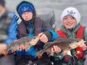 Perch to over 40cm for young anglers in Clare perch