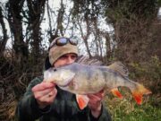 The River Whispers 10: Perch