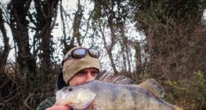 The River Whispers 10: Perch