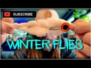 Flies for winter pike fishing – Norbert Renaud from L’ile Verte’s top tips